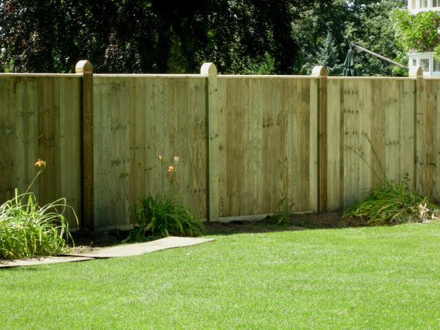 fence_and_stuff_007_8847.jpg